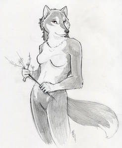706