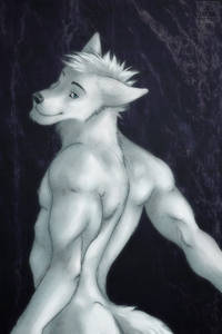 1251