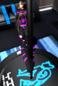 20713