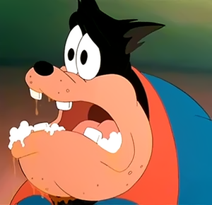 33697