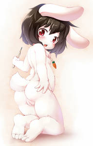 33941