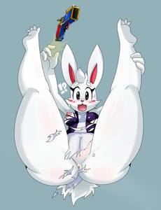 33956