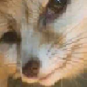 20841