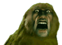 4041