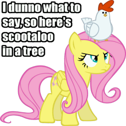 4068