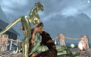 5411