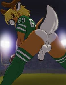 8337