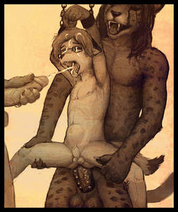 19776