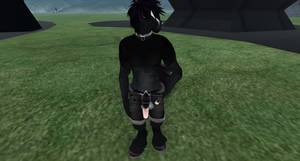 20019