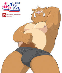 20069