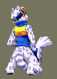 20082