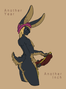 20262