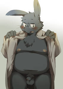 20273