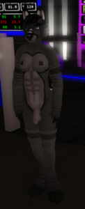 20462