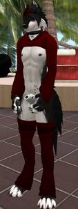 20474