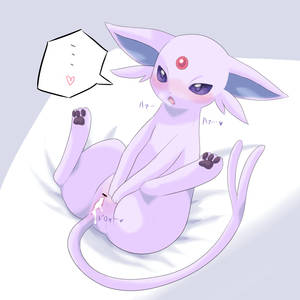 3716