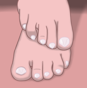 4243