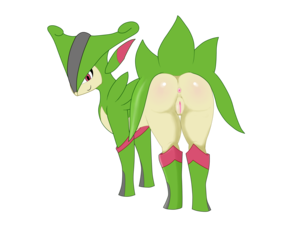 4030