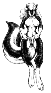 1511