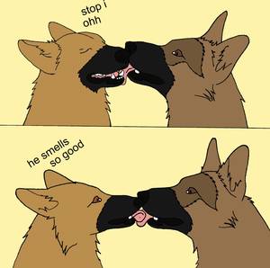 3208