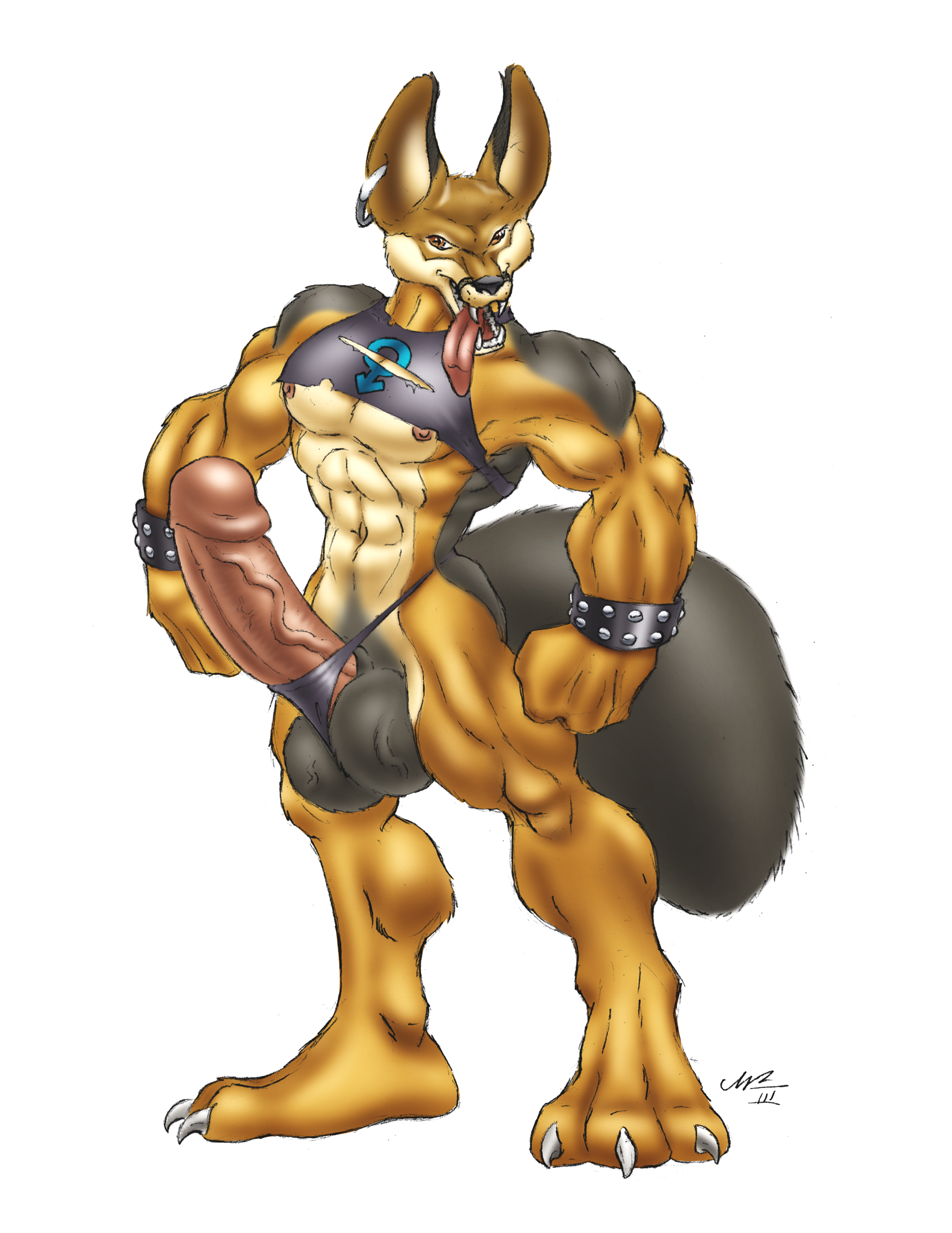 Cairo_Jackal
