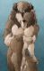 DOG_M_03.JPG