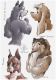DOGS_02.JPG