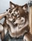 KARWOL~1.JPG