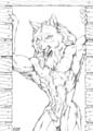 KarWolf18
