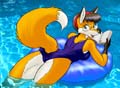 22vixfloat