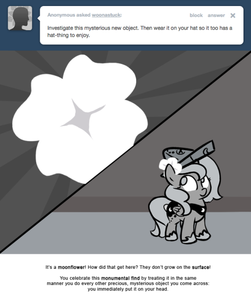 It&rsquo;s a moonflower! How did that get here? They don&rsquo;t grow on the surface!
You celebrate this monumental find by treating it in the same manner you do every other precious, mysterious object you come across:
you immediately put it on your head.